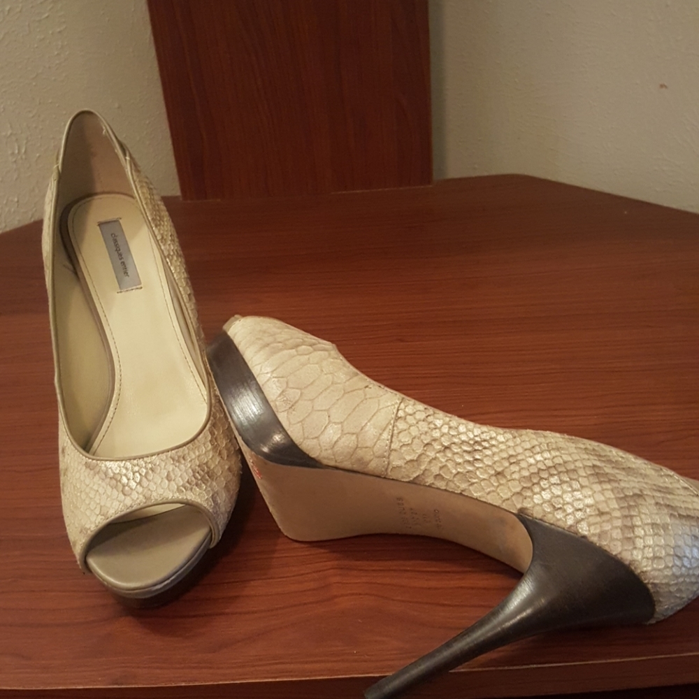Classiques Entier Stilettos Heels